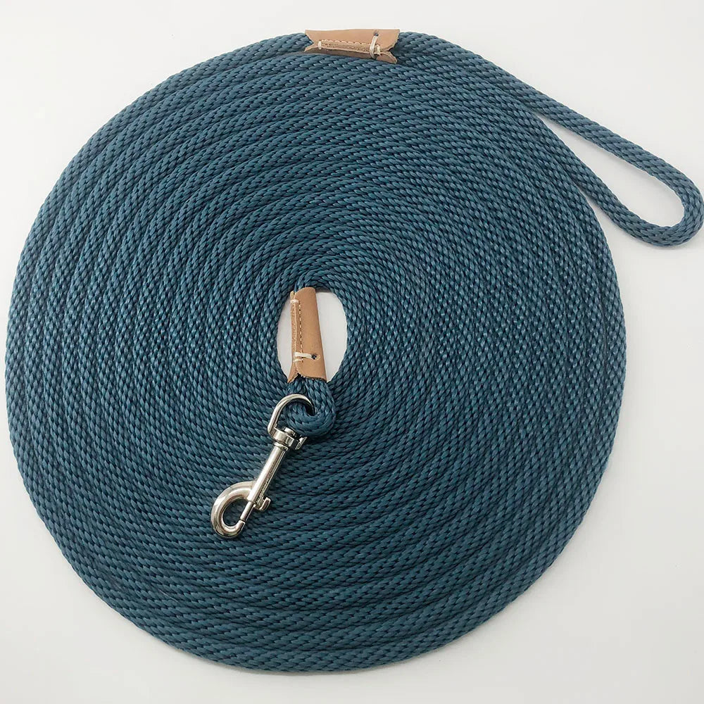 Heavy Duty Dog Training Leash | 2m 3m 5m 10m Nylon Rope Lead for Dogs