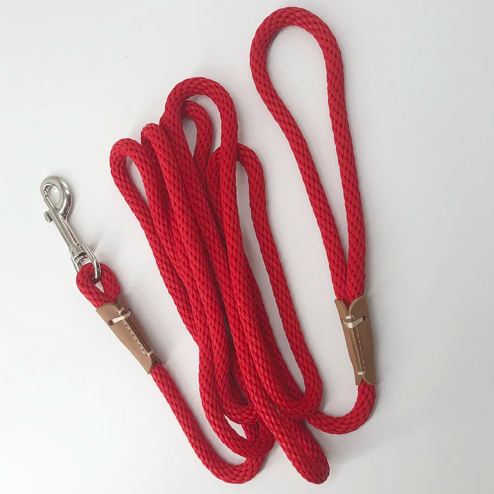 Heavy Duty Dog Training Leash | 2m 3m 5m 10m Nylon Rope Lead for Dogs