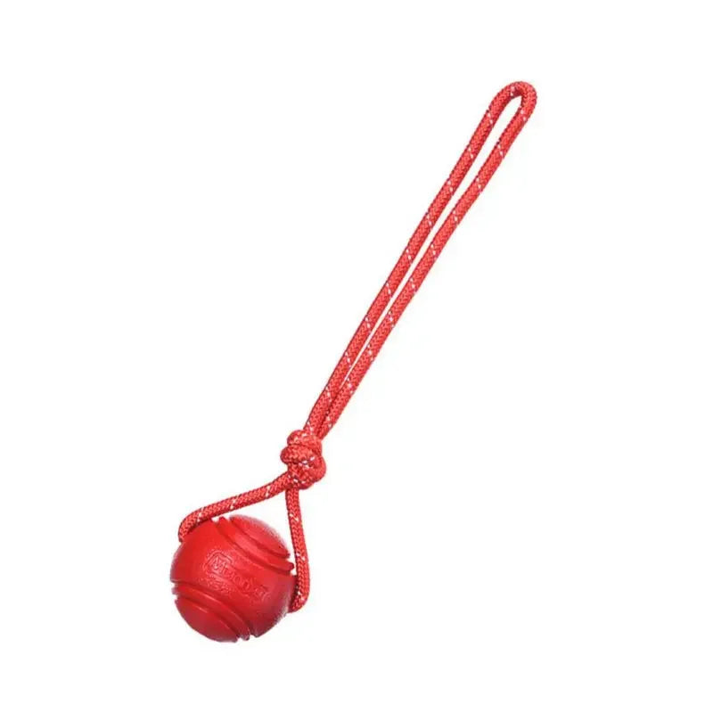 Dog Training Ball on Rope | Nontoxic Cotton Fleece Interactive Toy for Dogs