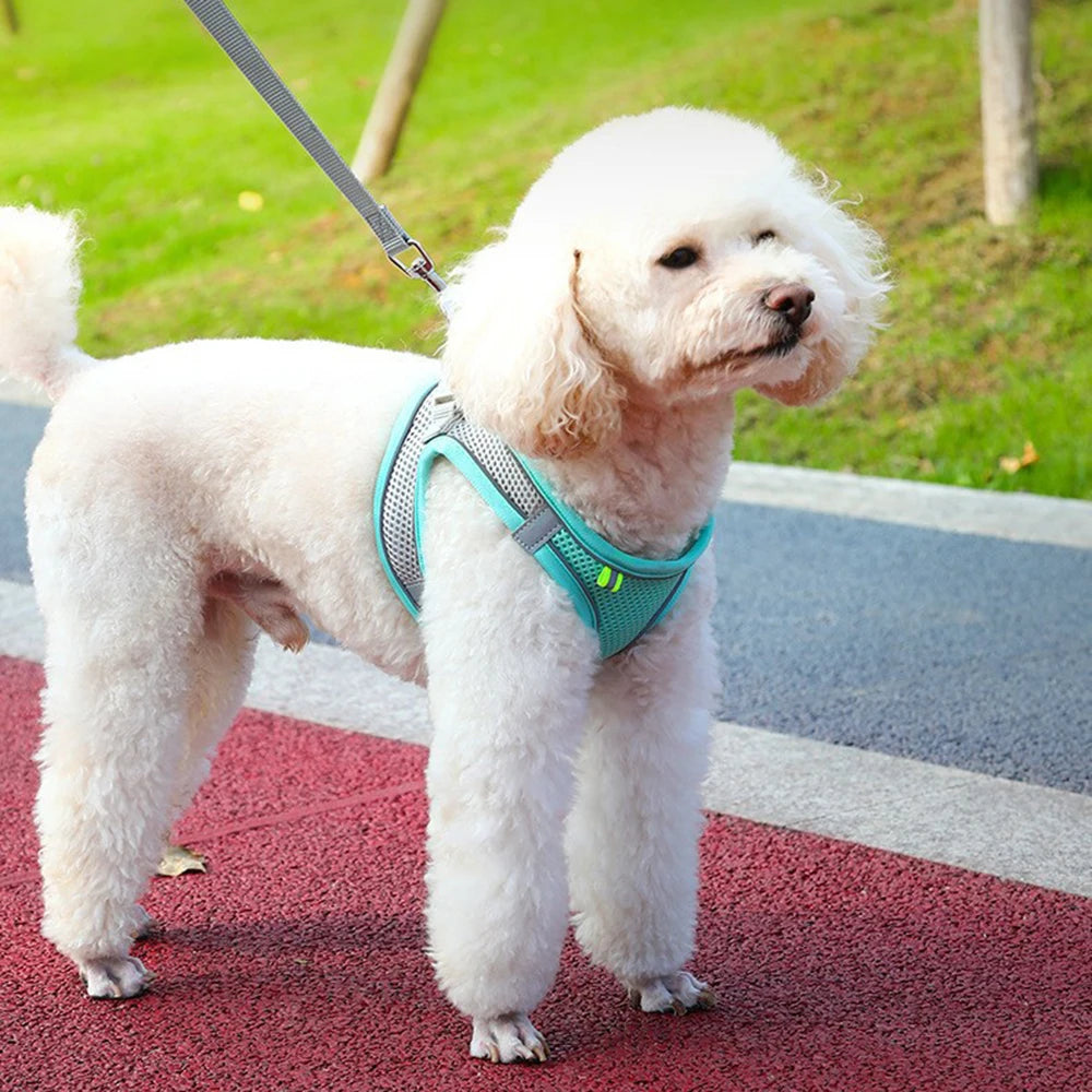 Reflective Cat & Dog Harness Vest | Breathable Adjustable Nylon Chest Harness for Small Pets